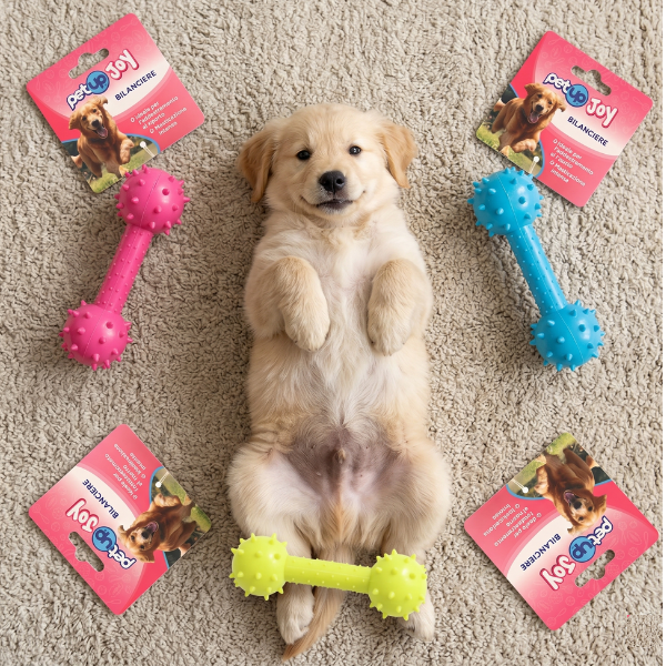 PetUp Joy gioco per cani Bilanciere in TPR