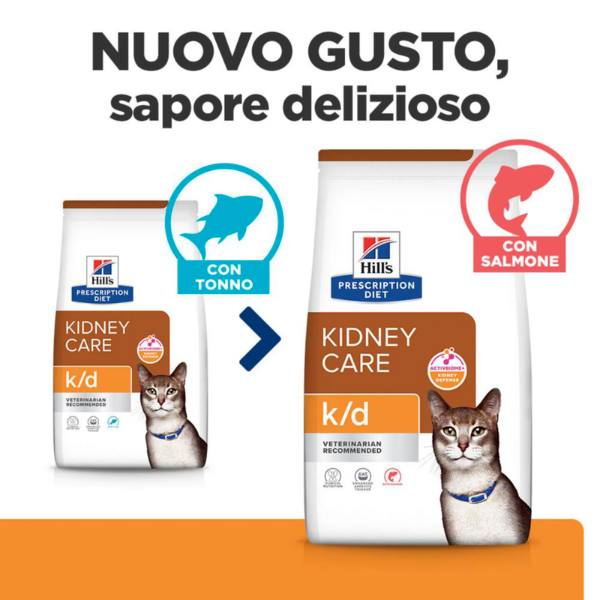 Hill's Prescription Diet k/d Feline con Salmone