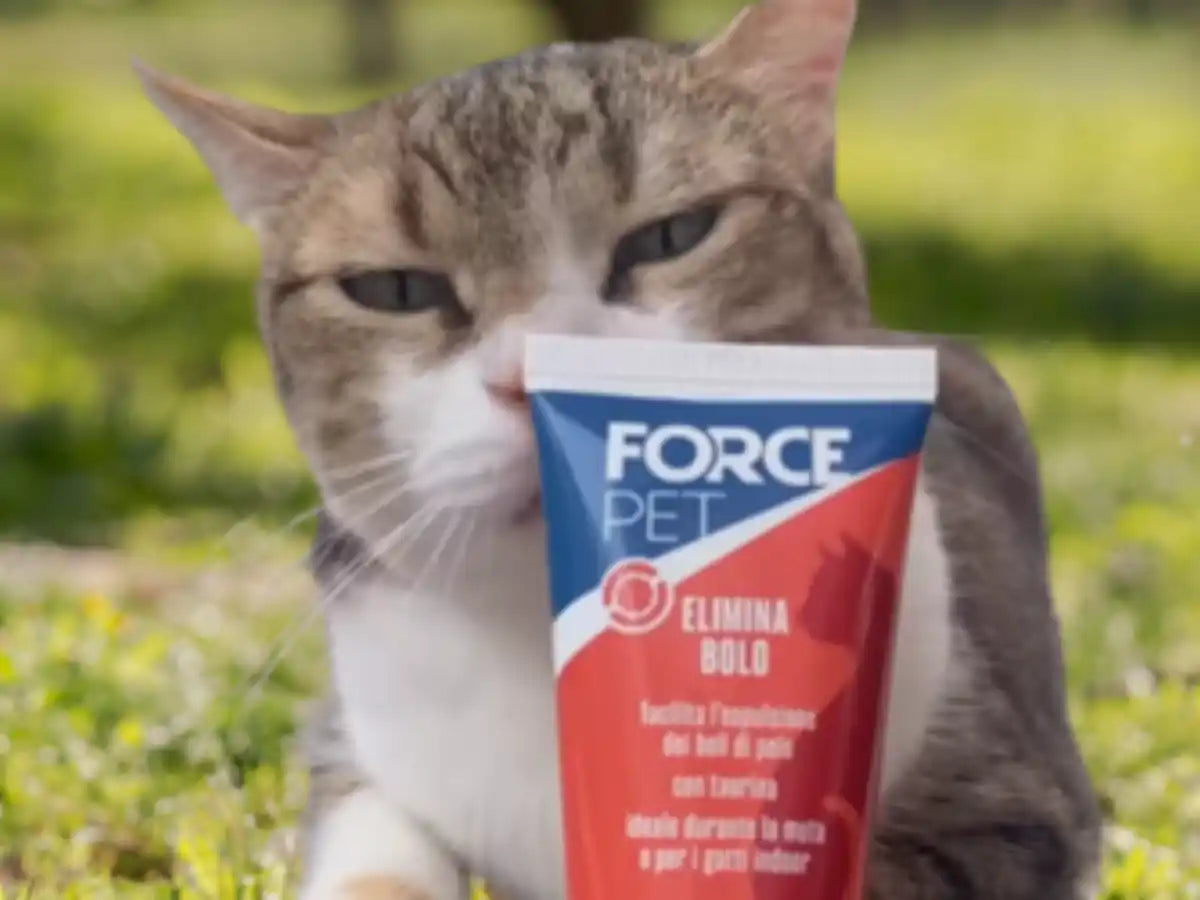 Forcepet
