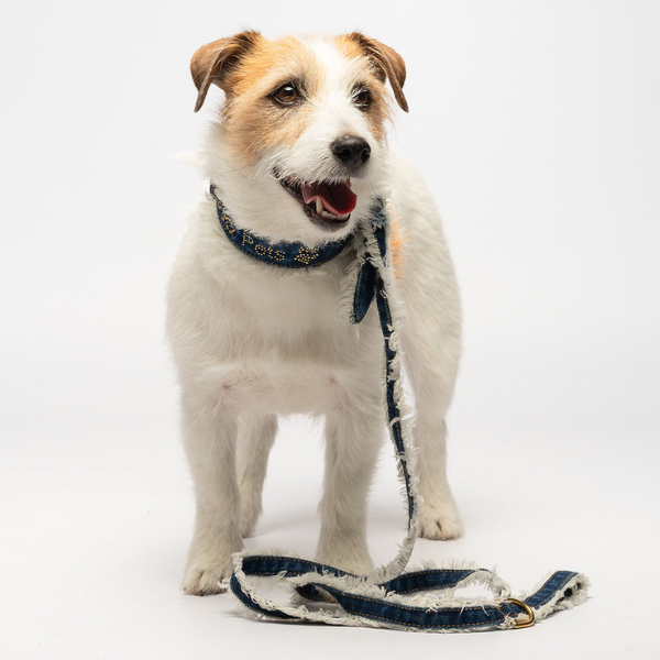 Guinzaglio per cani Denim in jeans 1,14 mt Liu Jo Pets