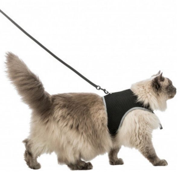 Parure per gatti pettorina + guinzaglio trasprirante Trixie