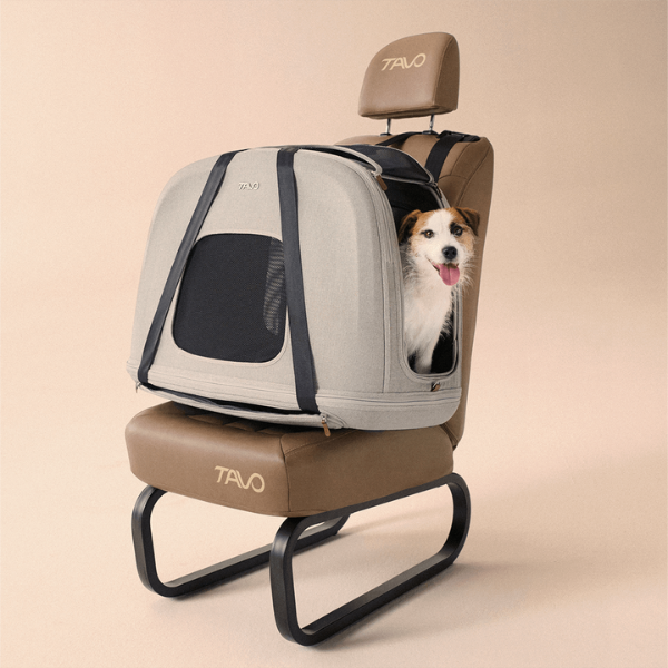 Trasportino da viaggio per animali domestici con sistema IsoFix integrato Crispin Tavo - Medium - Grigio