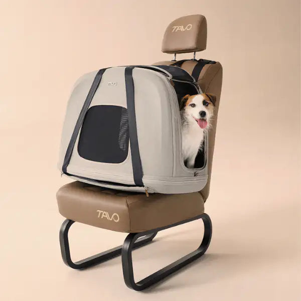 Trasportino da viaggio per animali domestici con sistema IsoFix integrato Crispin Tavo - Medium - Grigio