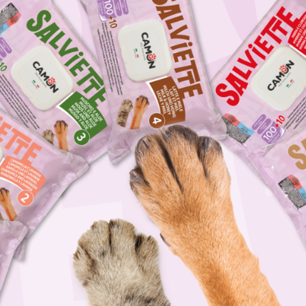 Salviette Detergenti per cani e gatti Maxi Formato da 110 pezzi Camon