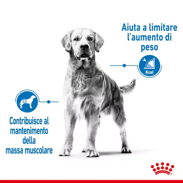 royal canin maxi light weight care (scadenza: 27/01/2026) immagine4
