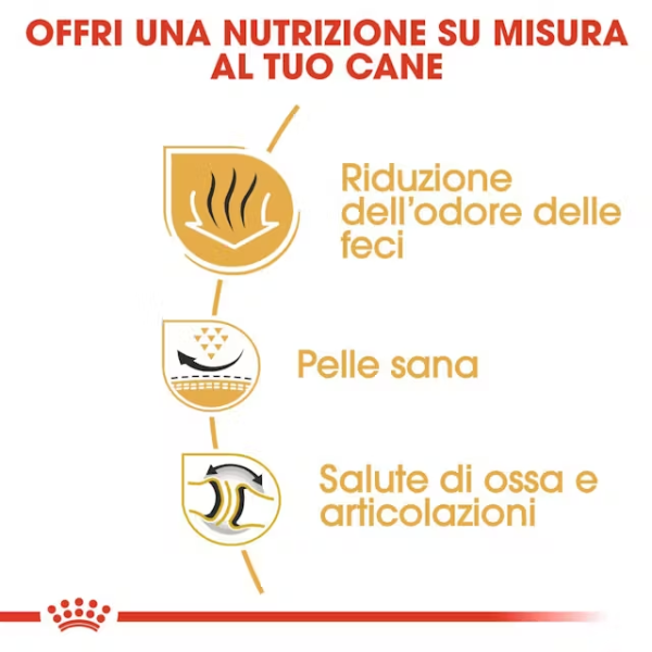 royal canin bulldog adult (scadenza: 12/01/2026) immagine2