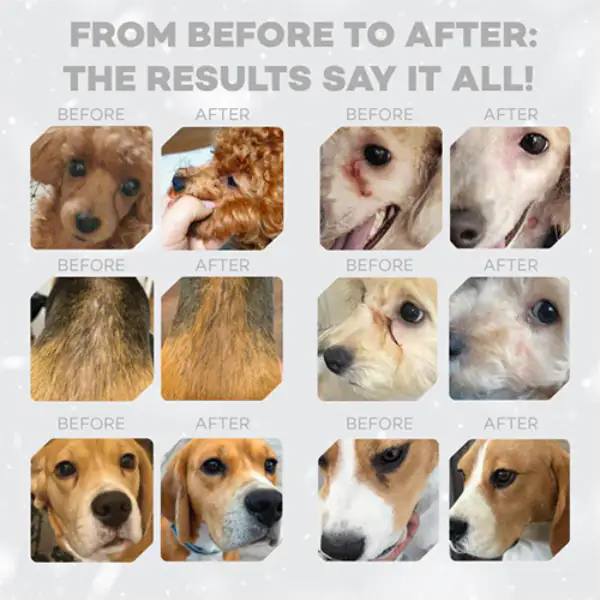 Nature’s Protection Superior Care Dog Junior Small e Mini Red Coat Grain Free Salmone