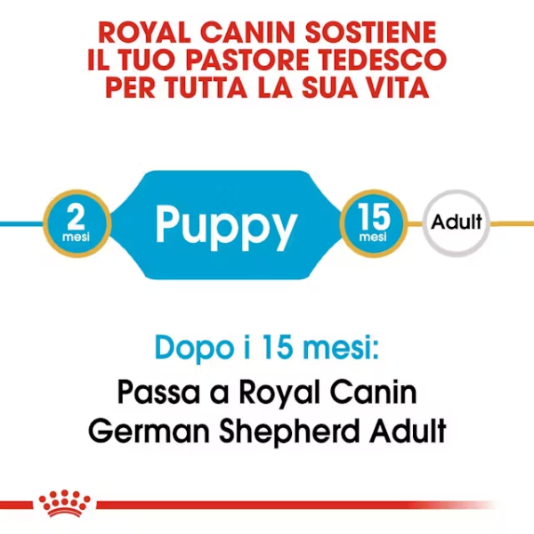 royal canin german shepherd puppy pastore tedesco (scadenza: 15/12/2025) immagine3