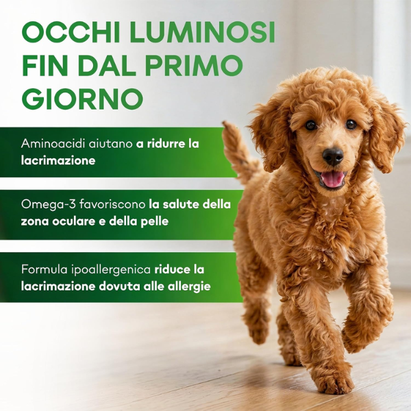 Nature’s Protection Superior Care Dog Junior All Breeds Filetti in gelatina 85 gr