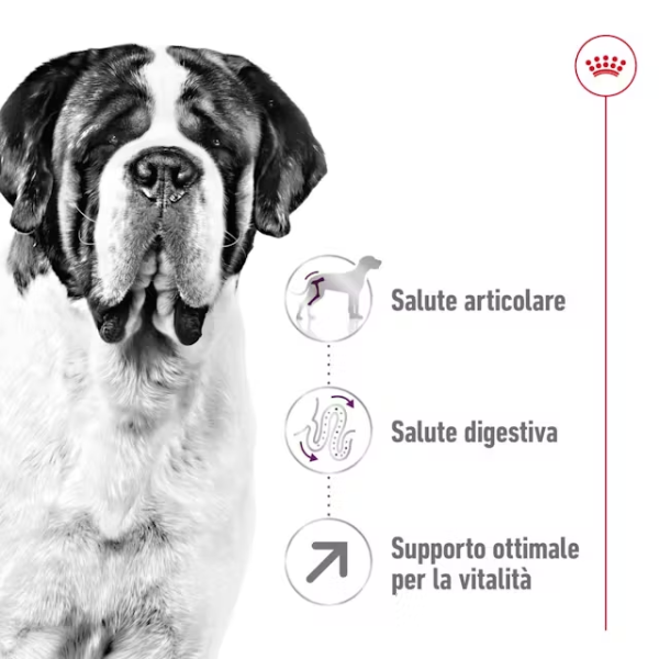 royal canin giant adult immagine3