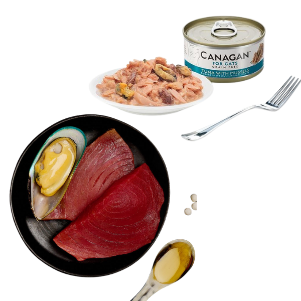 Canagan for Cats Kitten & Adult Grain Free Filetti 75 gr