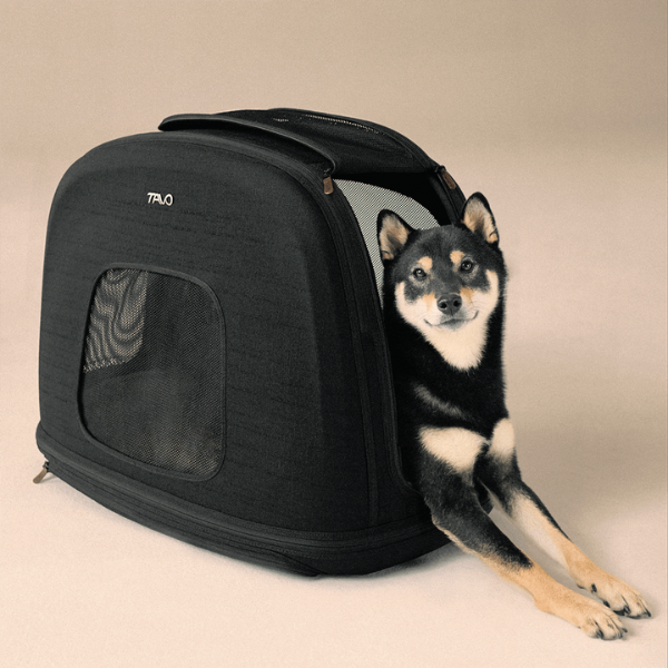 Trasportino da viaggio per animali domestici con sistema IsoFix integrato Crispin Tavo - Medium - Nero