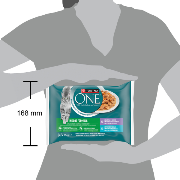 Purina One Indoor Cat Adult filettini in salsa multipack 4x85 gr