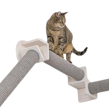 Percorsi da muro per gatti