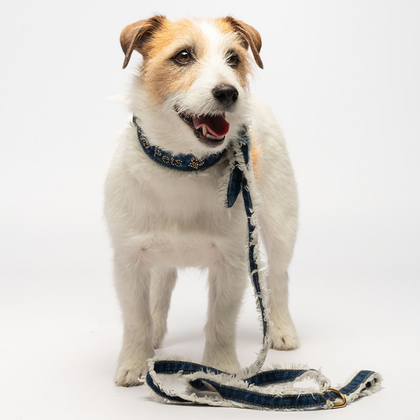 Collare per cani Denim in jeans Liu Jo Pets