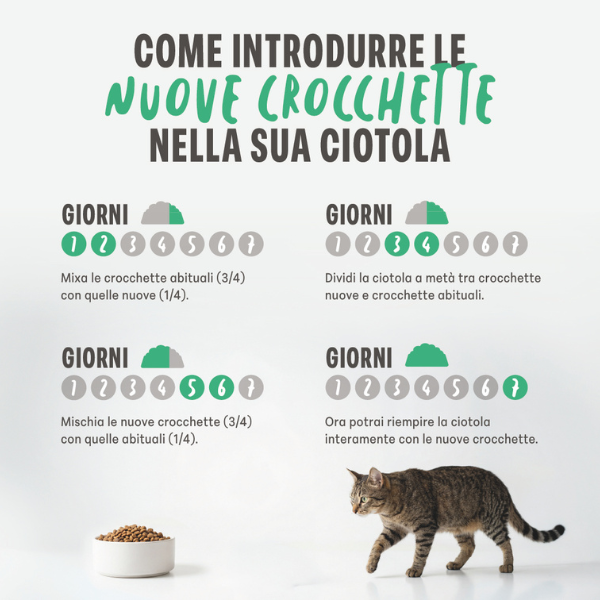 Schesir Cat Monoprotein formula con Prebiotici Prosciutto