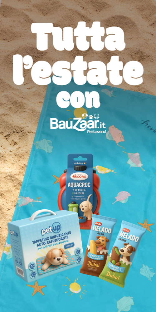 Bauzaar.it