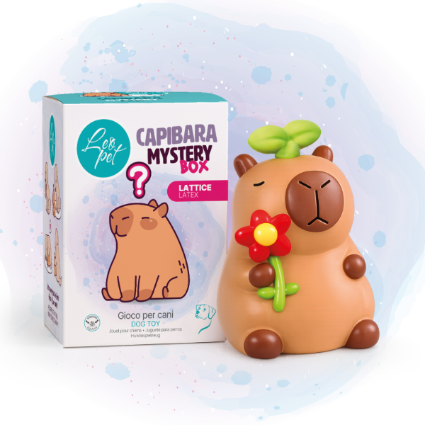 Gioco per cani in lattice Capibara Mystery Box Leopet