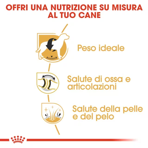 royal canin labrador retriever adult immagine2