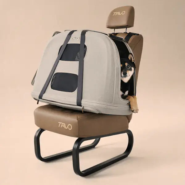 trasportino da viaggio per animali domestici con sistema isofix integrato crispin tavo immagine3