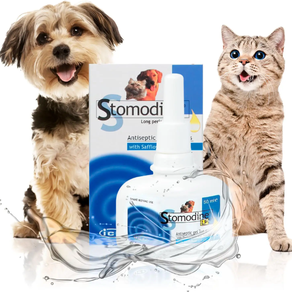 Stomodine LP ICF gel gengivale per l'Igiene orale di cani e gatti