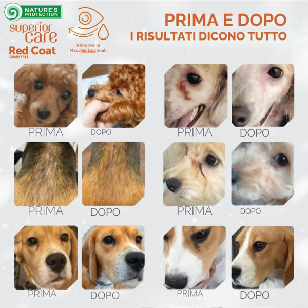 Nature’s Protection Superior Care Red Coat Dog Adult All Breeds Filetti in gelatina 85 gr