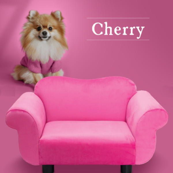 divanetto per cani poltrona cherry ferribiella maison immagine3
