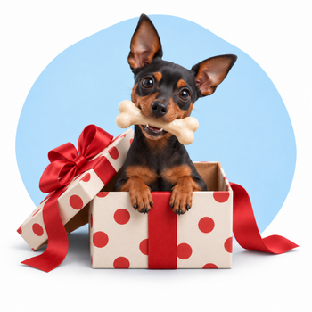 Idee Regalo