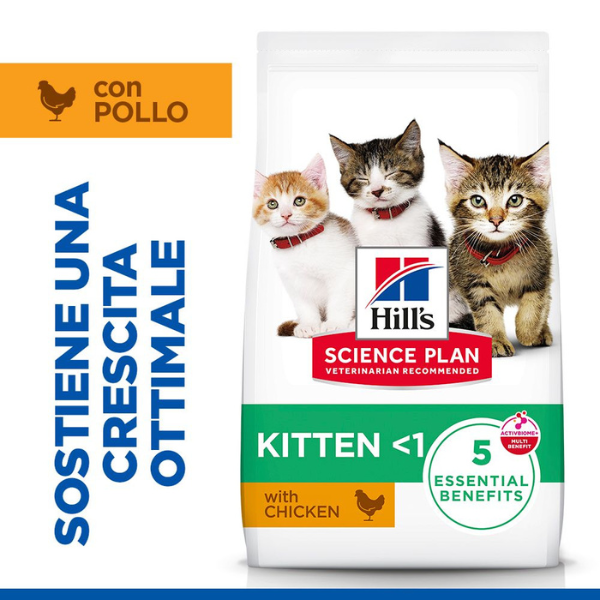 hill's science plan kitten alimento per gattini con pollo immagine7