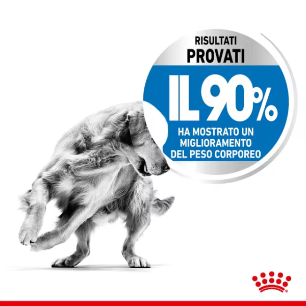 royal canin maxi light weight care (scadenza: 27/01/2026) immagine2