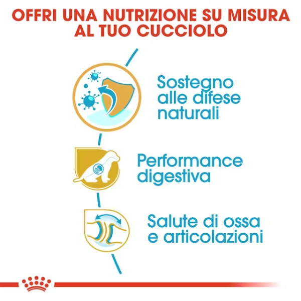 royal canin german shepherd puppy pastore tedesco (scadenza: 15/12/2025) immagine4