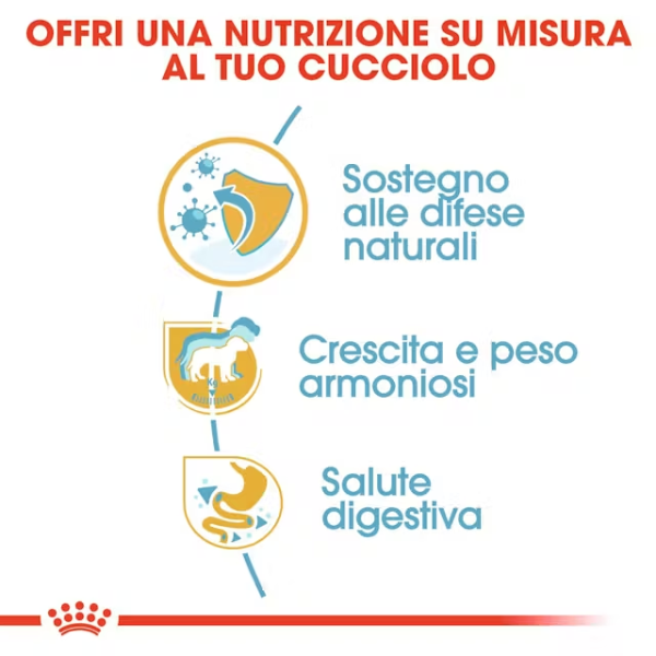 royal canin labrador retriever puppy (scadenza: 12/01/2026) immagine3