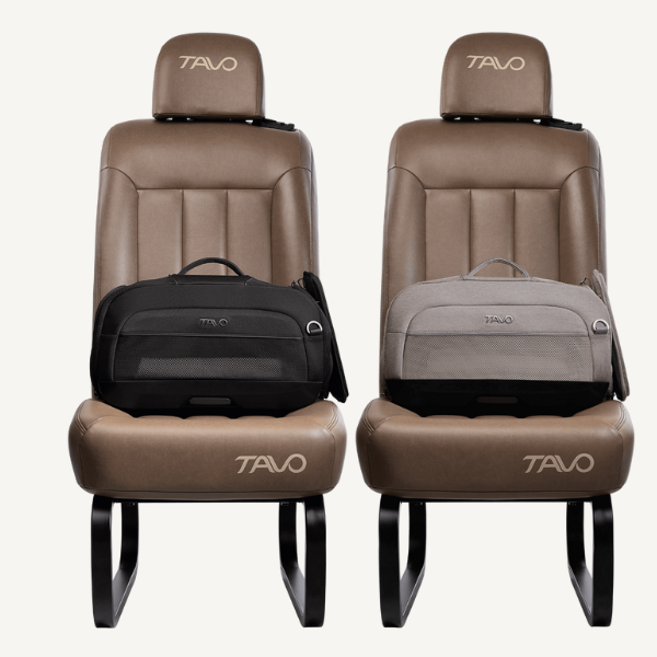 trasportino per aereo e per seggiolino auto dupree tavo immagine3