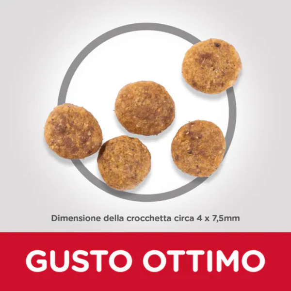 hill's science plan perfect weight small/mini adult alimento per cani con pollo immagine6