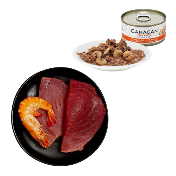 Canagan for Cats Kitten & Adult Grain Free Filetti 75 gr