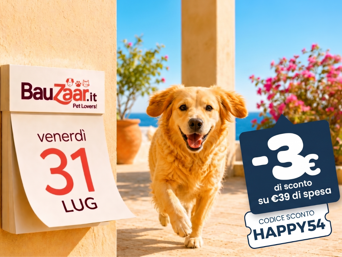 Happy Hour: 3€ di sconto su 39€ di spesa. Usa il codice sconto HAPPY54
