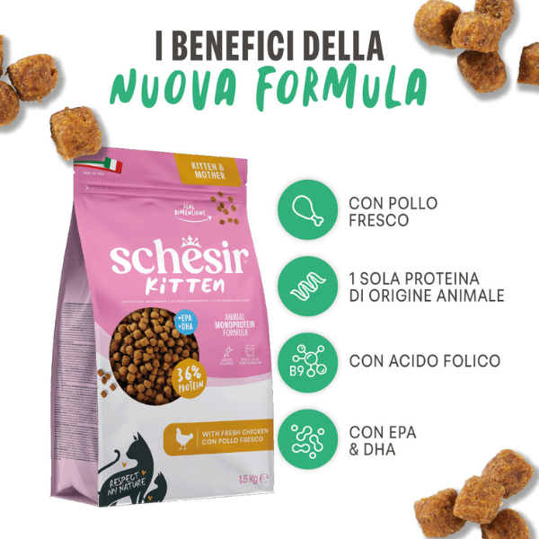 Schesir Cat Kitten & Mother Monoprotein formula con Acido folico Pollo fresco