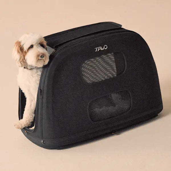 Trasportino da viaggio per animali domestici con sistema IsoFix integrato Crispin Tavo - Large - Nero