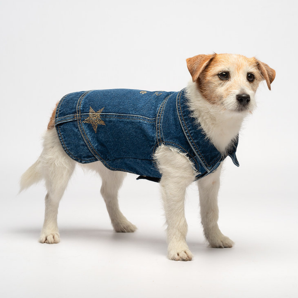 Giubbotto per cani Denim in jeans Liu Jo Pets