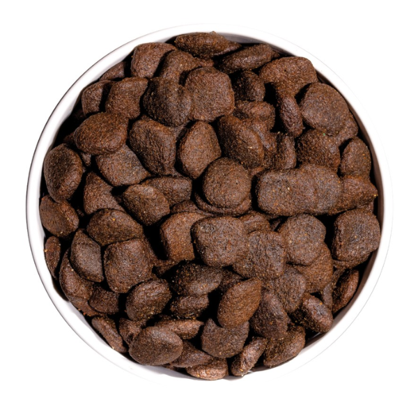 ownat grain free hypoallergenic mono-proteic all breeds adult con maiale fresco immagine4