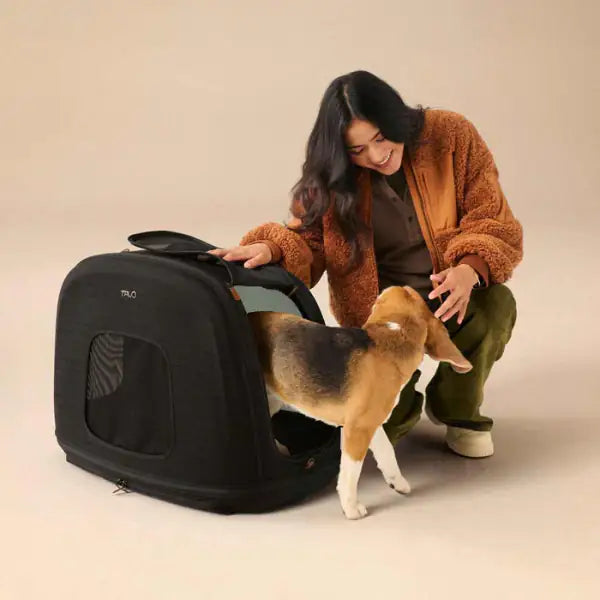 trasportino da viaggio per animali domestici con sistema isofix integrato crispin tavo immagine4