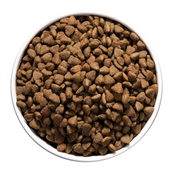 ownat care cat adult hypoallergenic linea vet immagine4