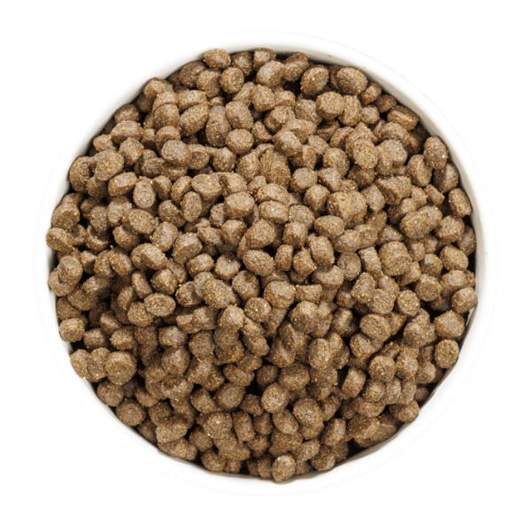 ownat just grain free cat sterilised con pesce fresco immagine4