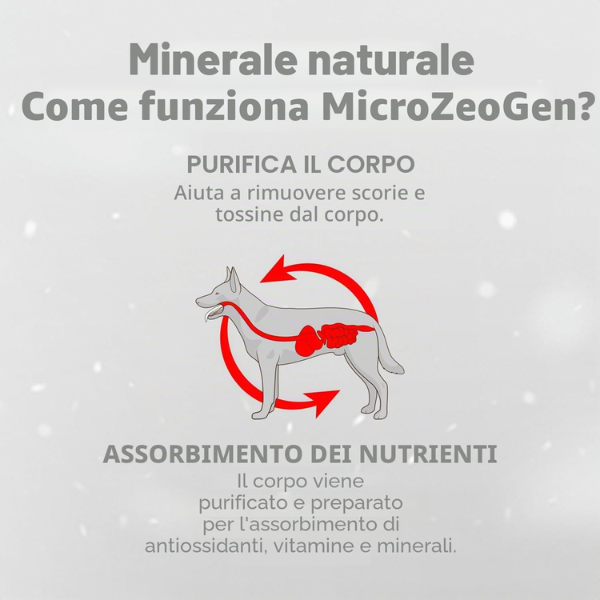 Nature’s Protection Superior Care White Coat Dog Adult All Breeds Filetti in gelatina 85 gr