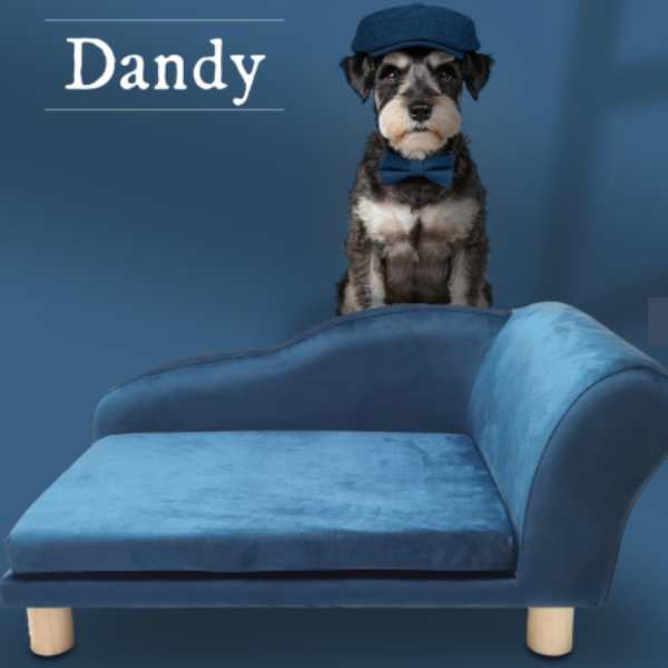divanetto per cani chaise longue dandy ferribiella maison immagine3
