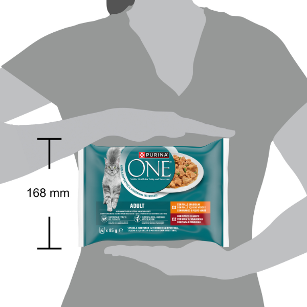Purina One Cat Adult filettini in salsa multipack 4x85 gr