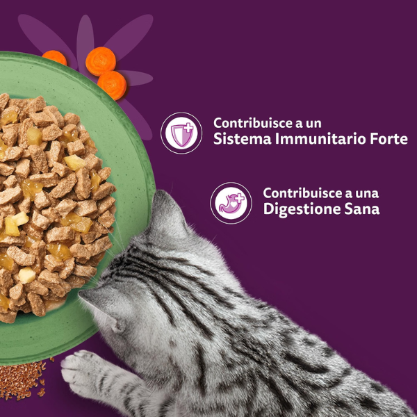Whiskas Superfoods Mix in gelatina Multipack 50x50 gr