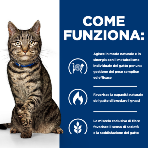 Hill's Prescription Diet Metabolic Feline Salmone