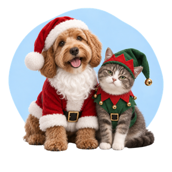 Natale