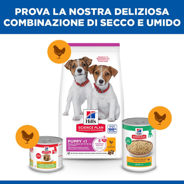 hill's science plan small & mini puppy alimento per cuccioli con pollo immagine5